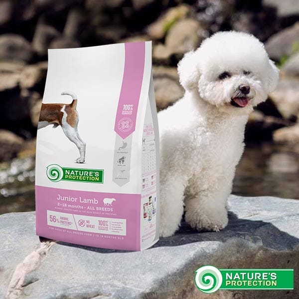 Junior Lamb gotowy.jpg