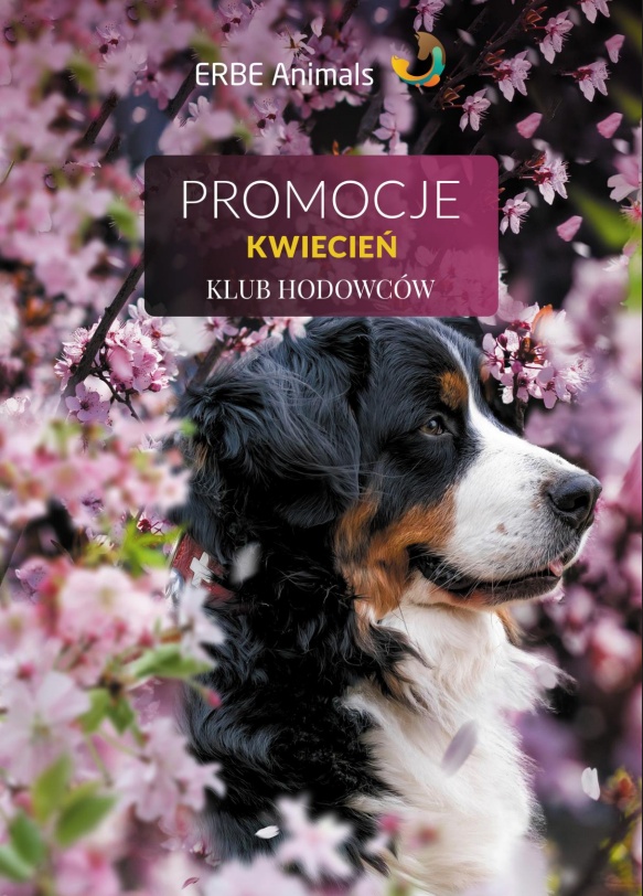 Promocje miesiąca - luty